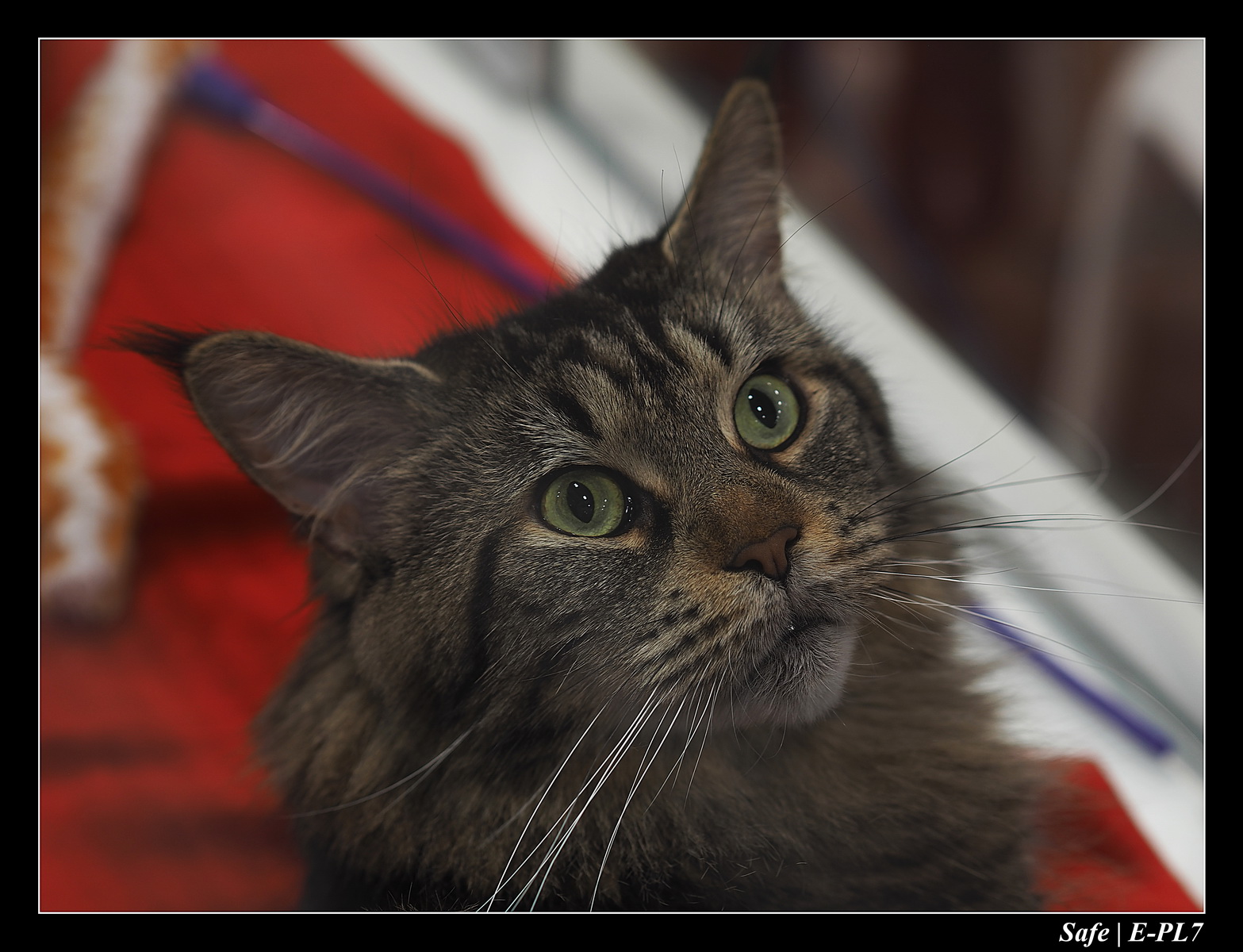 2020 - 02 - Salon agriculture 26